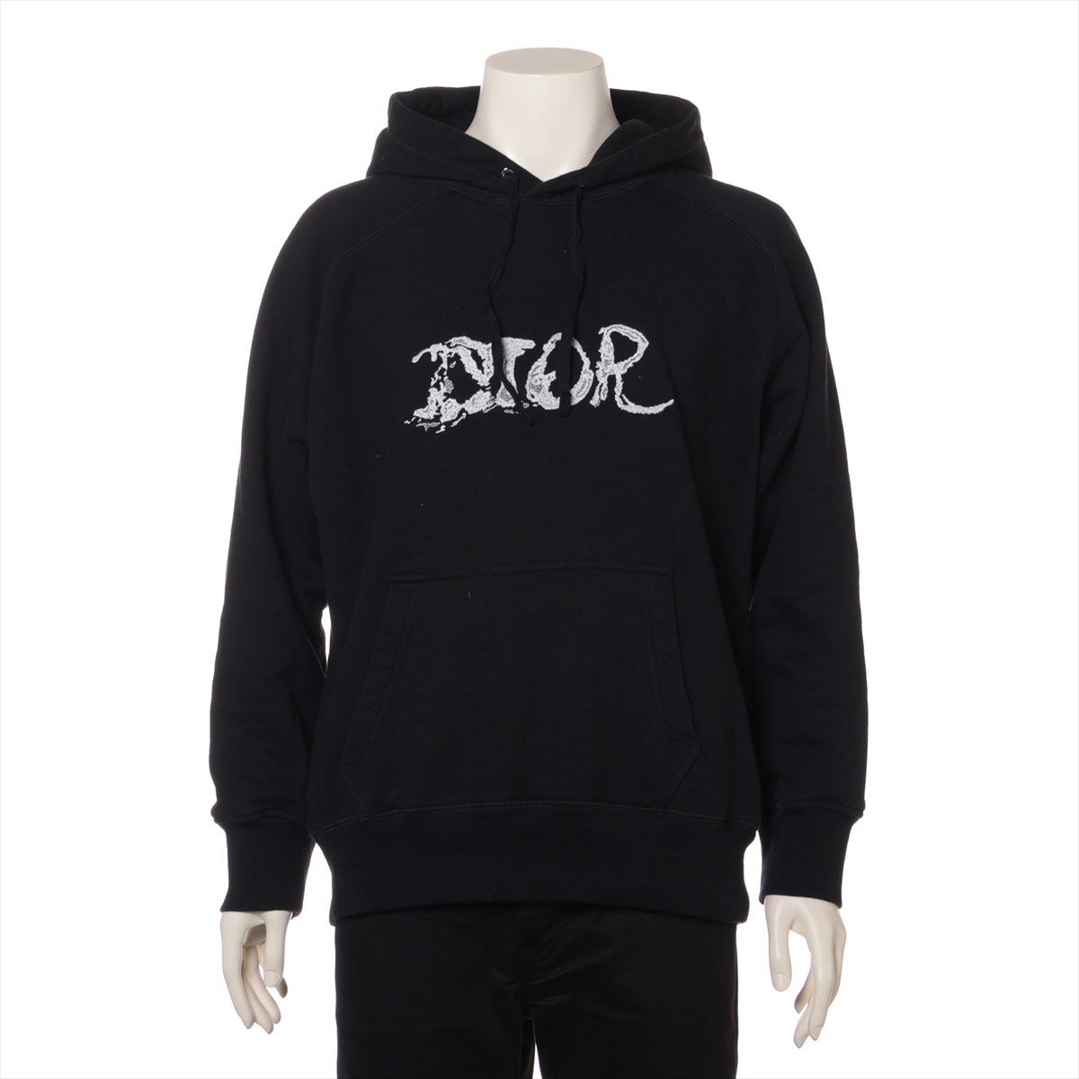 Christian Dior (クリスチャンディオール) × Peter Doig